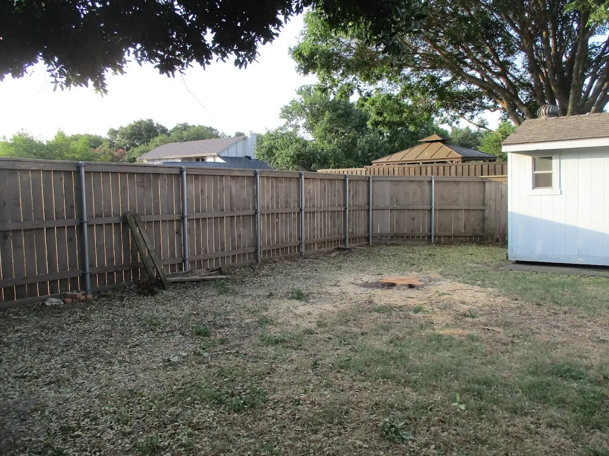 Cleared yard after professional tree removal in Islandia